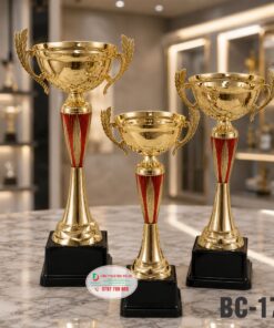Cúp Kim Loại BC-172 | Cúp Trao Giải Thể Thao Đẹp, Giá Tốt