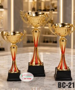 Cúp Kim Loại BC-210 Cao Cấp | Cúp Trao Giải Thể Thao Đẹp