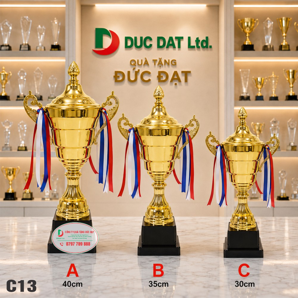 cup_the_thao__45_ Cúp kim loại C13 vàng thể thao mẫu C13A C13B C13C